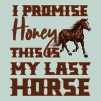 I Promise Honey This Is My Last Horse Zipper Hoodie | Teevron