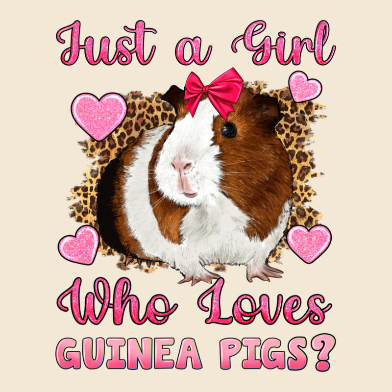 Just A Girl Love Who Loves Guinea Pigs Premium Tee by Artiststas | Teevron