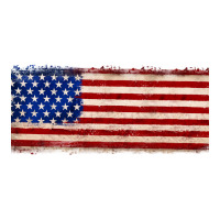 usa flag | Teevron