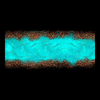 Turquoise Leopard Ladies Tee | Teevron