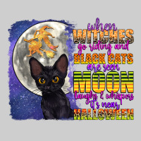 When Witches Go Riding Premium Sweatshirt | Teevron