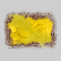 Gemstone Yellow Leopard Background Premium Tee | Teevron