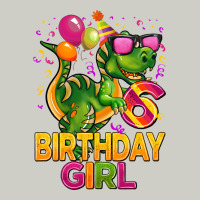 6th Birthday Girl T Rex Pink Heavyweight Hoodie | Teevron