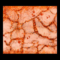 Orange Glitter Heavy Core Tee | Teevron