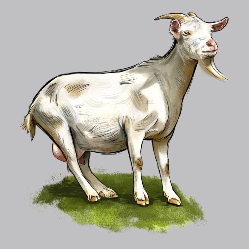 Cashmere Goat Classic Tee by LillyAllenDesigns | Teevron