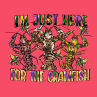 Im Just Here For The Crawfish Premium Sweatshirt | Teevron