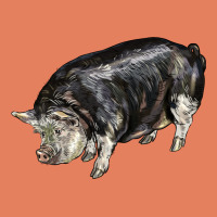 Poland China Pig Classic Tee | Teevron