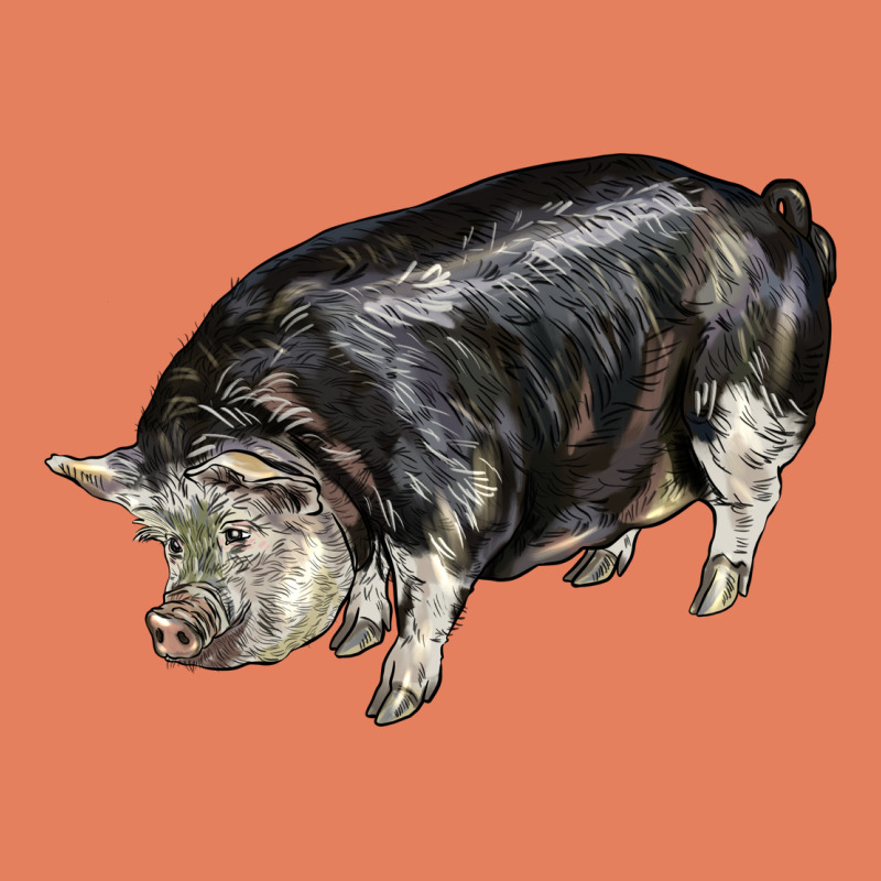 Poland China Pig Classic Tee by LillyAllenDesigns | Teevron