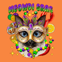 Meowdi Gras Mardi Gras Cat Premium Sweatshirt | Teevron