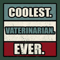 Coolest Veterinarian Ever Zipper Hoodie | Teevron