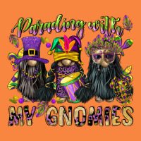 Parading With My Gnomies Premium Sweatshirt | Teevron