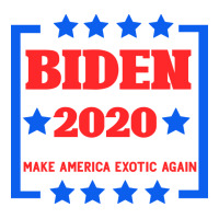 Joe 2020 | Teevron