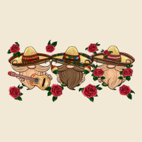 Mexico Gnomes Ladies Tee | Teevron