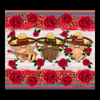 Mexico Gnomes Ladies Tee | Teevron
