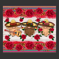 mexico gnomes | Teevron