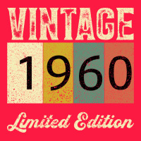Vintage 1960 Limited Edition Zipper Hoodie | Teevron