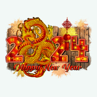 Year Of The Dragon Chinese New Year 2024 Premium Hoodie | Teevron