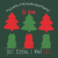 All Want For Christmas Is You Just Kidding I Want Cats Zipper Hoodie | Teevron