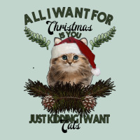 All I Want For Christmas Is You Just Kidding I Want Cats Zipper Hoodie | Teevron