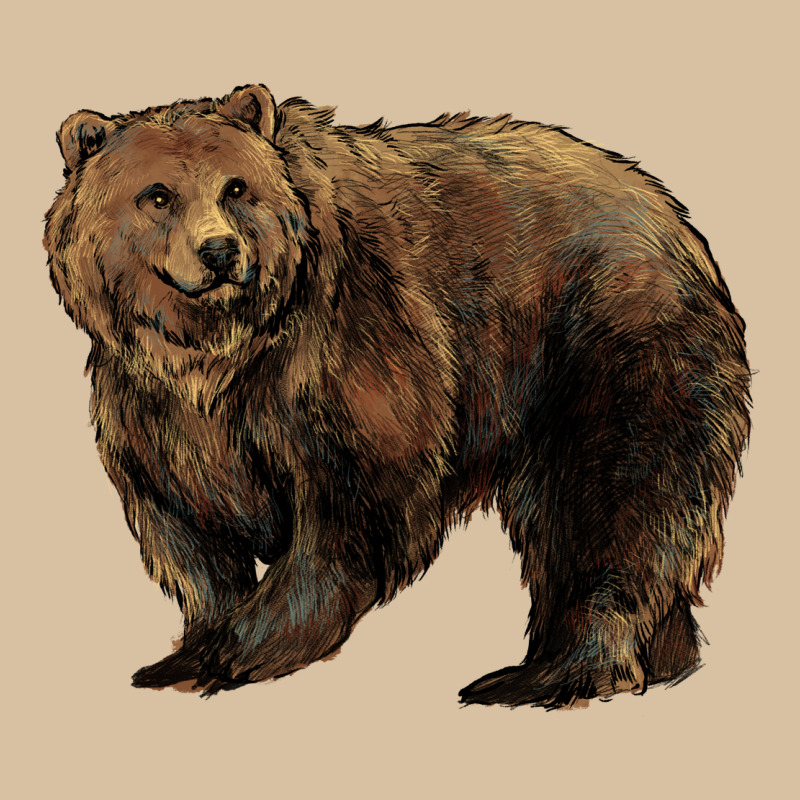 Grizzly Bear Heavyweight Hoodie by HowdyJamesFarm | Teevron
