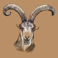 Spanish Goat Face Vintage Hoodie | Teevron