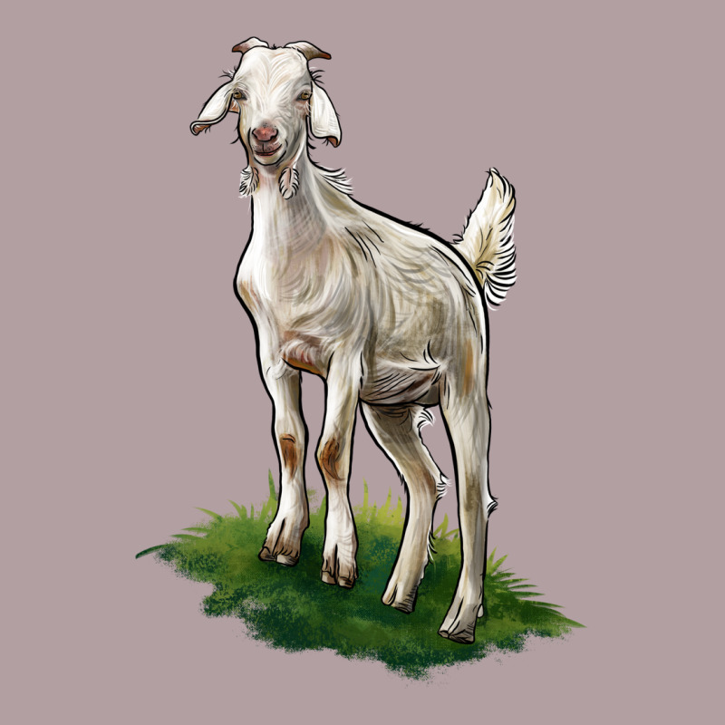 Kiko Goat Vintage Hoodie by LillyAllenDesigns | Teevron