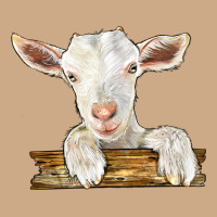 Baby Cashmere Goat Vintage Hoodie | Teevron