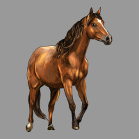 Quarter Horse Vintage Hoodie | Teevron