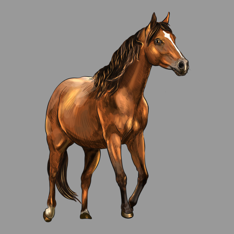 Quarter Horse Vintage Hoodie by LillyAllenDesigns | Teevron