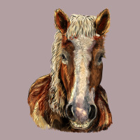 Belgian Horse Vintage Hoodie | Teevron