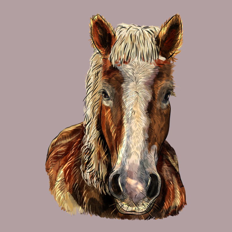 Belgian Horse Vintage Hoodie by LillyAllenDesigns | Teevron