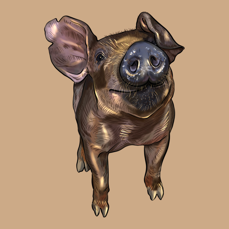 Baby Duroc Pig Vintage Hoodie by LillyAllenDesigns | Teevron