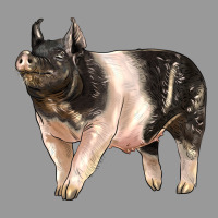 Hampshire Pig Vintage Hoodie | Teevron