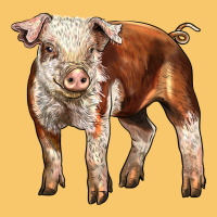 Baby Hereford Pig Vintage Hoodie | Teevron