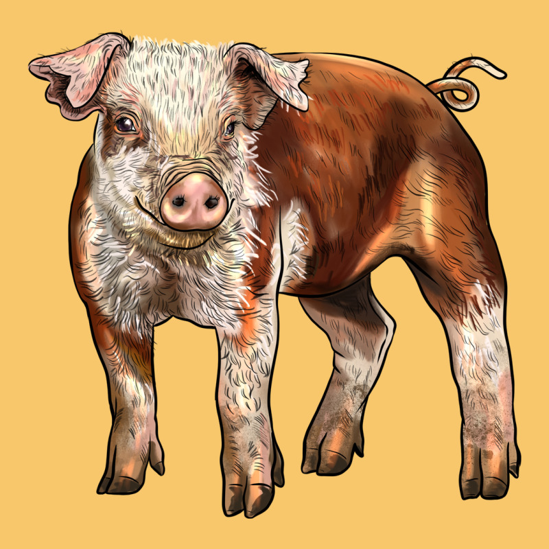 Baby Hereford Pig Vintage Hoodie by LillyAllenDesigns | Teevron
