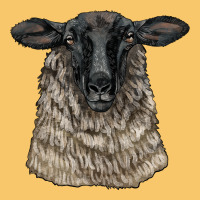 Suffolk Sheep Head Vintage Hoodie | Teevron