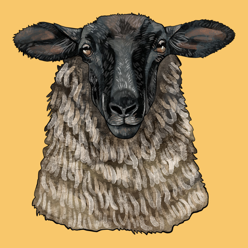Suffolk Sheep Head Vintage Hoodie by LillyAllenDesigns | Teevron