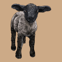 Suffolk Baby Sheep Vintage Hoodie | Teevron