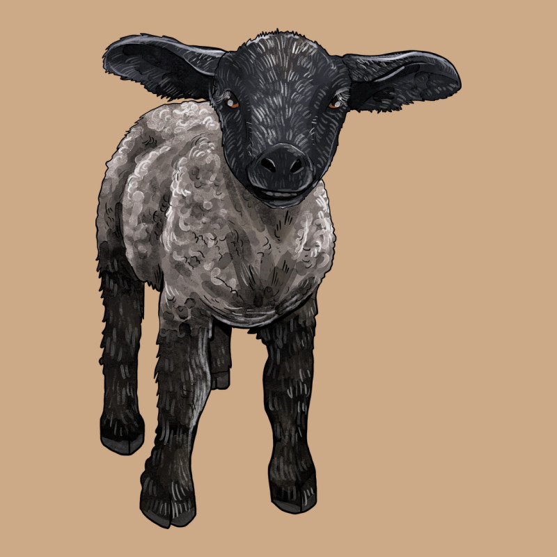 Suffolk Baby Sheep Vintage Hoodie by LillyAllenDesigns | Teevron