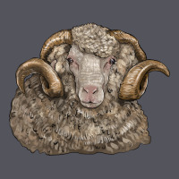 Merino Wool Sheep Head Vintage Hoodie | Teevron