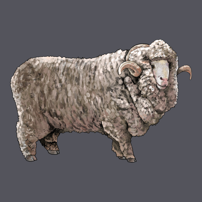Rambouillet Sheep Vintage Hoodie by LillyAllenDesigns | Teevron