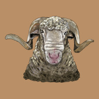 Rambouillet Sheep Head Vintage Hoodie | Teevron
