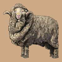 Merino Wool Sheep Vintage Hoodie | Teevron
