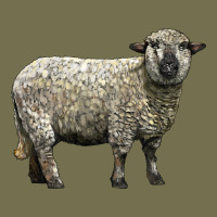 Hampshire Sheep Vintage Hoodie | Teevron