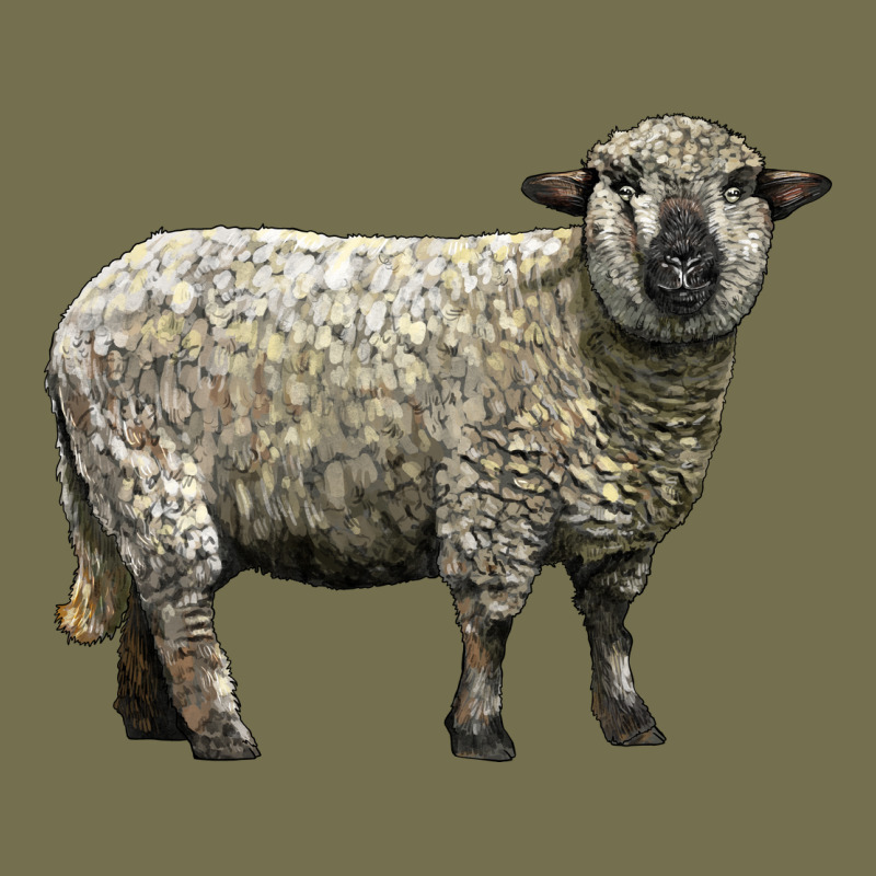 Hampshire Sheep Vintage Hoodie by LillyAllenDesigns | Teevron