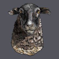 Dorper Sheep Head Vintage Hoodie | Teevron