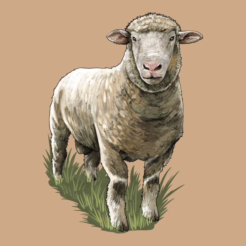 Dorset Sheep Vintage Hoodie by LillyAllenDesigns | Teevron
