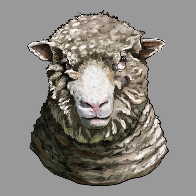 Dorset Sheep Head Vintage Hoodie by LillyAllenDesigns | Teevron