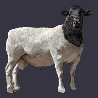 Dorper Sheep Vintage Hoodie | Teevron