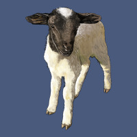 Dorper Baby Sheep Vintage Hoodie | Teevron